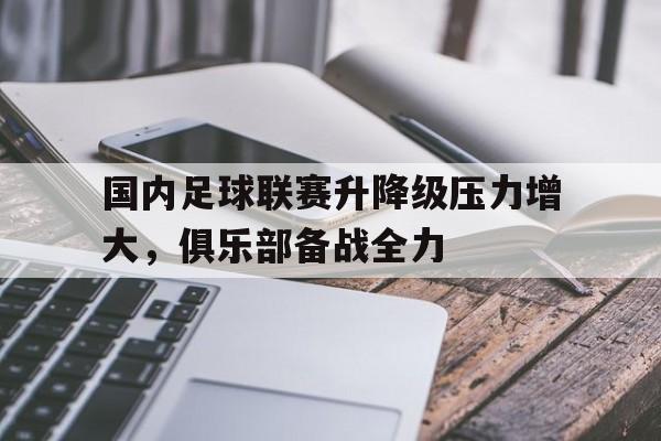 关于国内足球联赛升降级压力增大，俱乐部备战全力的信息