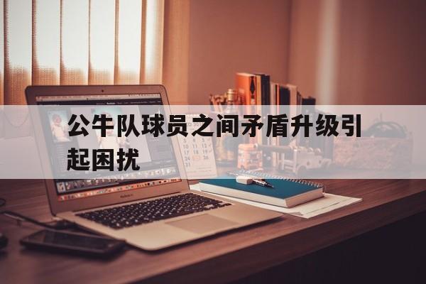 公牛队球员之间矛盾升级引起困扰的简单介绍