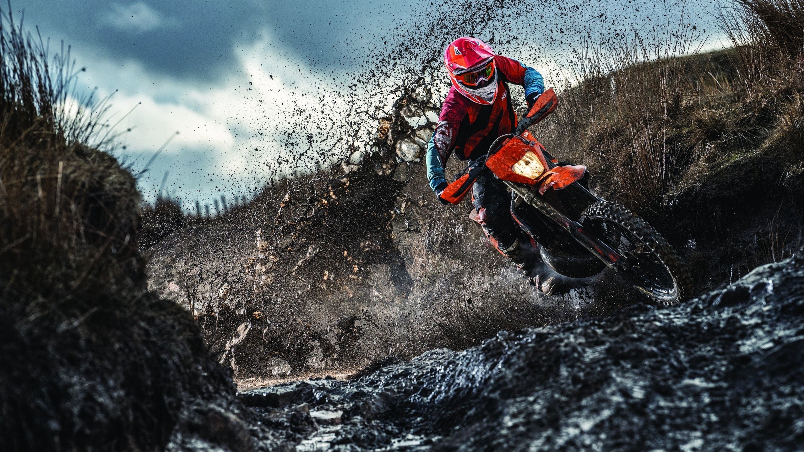 西亚卡姆迎来十五赛季出色发挥，独行侠观众热烈欢呼！全场沸腾不已